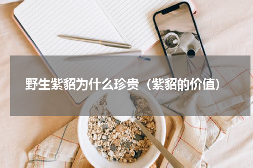 野生紫貂为什么珍贵（紫貂的价值）
