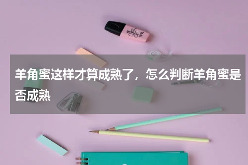 羊角蜜这样才算成熟了，怎么判断羊角蜜是否成熟