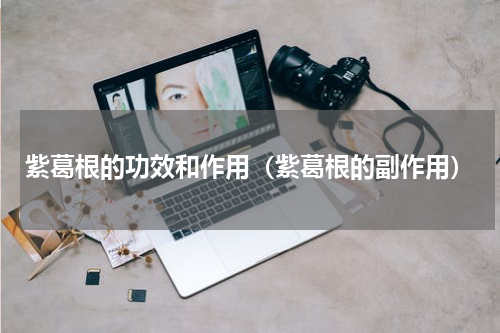 紫葛根的功效和作用（紫葛根的副作用）