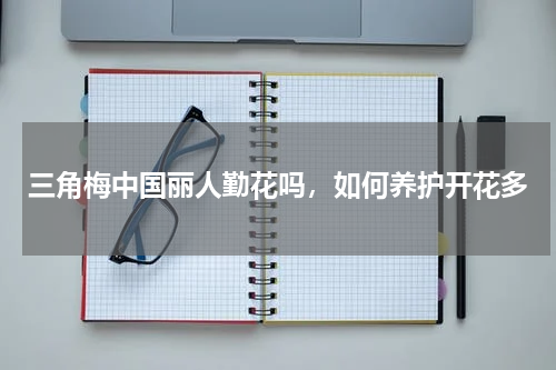 三角梅中国丽人勤花吗，如何养护开花多