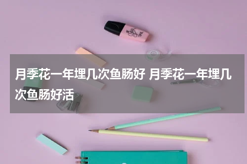 月季花一年埋几次鱼肠好 月季花一年埋几次鱼肠好活