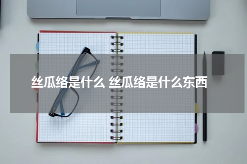 丝瓜络是什么 丝瓜络是什么东西