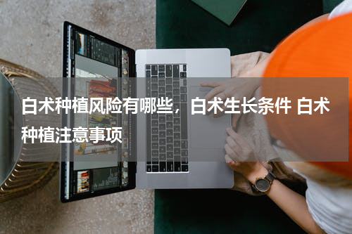 白术种植风险有哪些，白术生长条件 白术种植注意事项