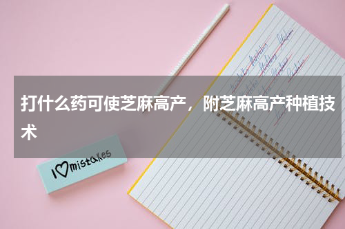 打什么药可使芝麻高产，附芝麻高产种植技术