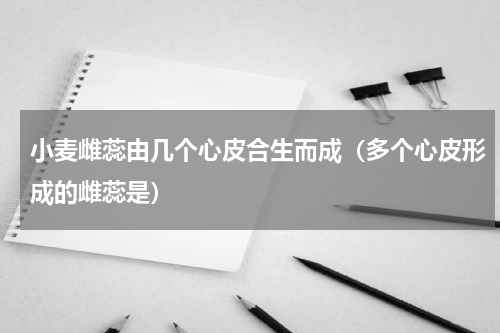 小麦雌蕊由几个心皮合生而成（多个心皮形成的雌蕊是）
