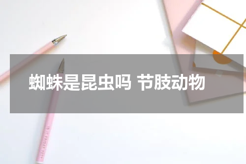 蜘蛛是昆虫吗 节肢动物