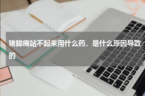 猪脚痛站不起来用什么药，是什么原因导致的