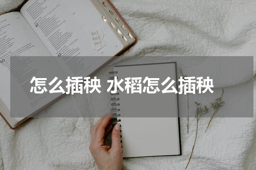 怎么插秧 水稻怎么插秧