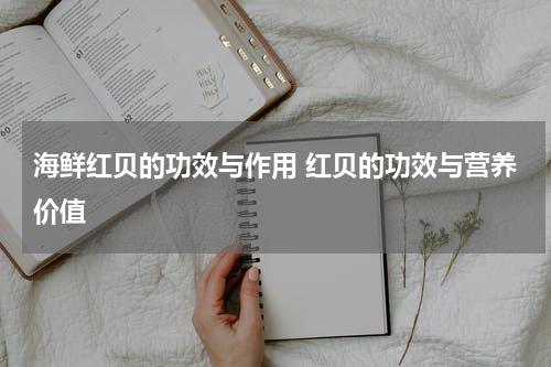 海鲜红贝的功效与作用 红贝的功效与营养价值