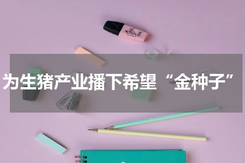 为生猪产业播下希望“金种子”