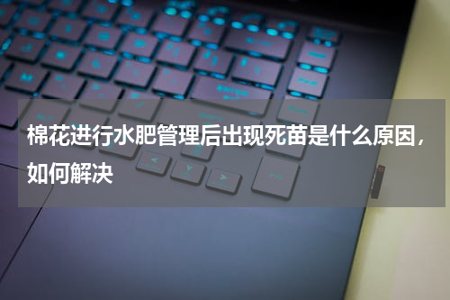 棉花进行水肥管理后出现死苗是什么原因，如何解决