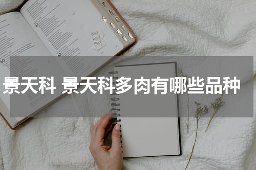 景天科 景天科多肉有哪些品种