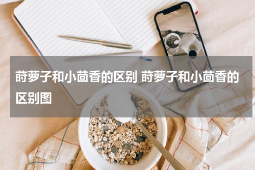 莳萝子和小茴香的区别 莳萝子和小茴香的区别图