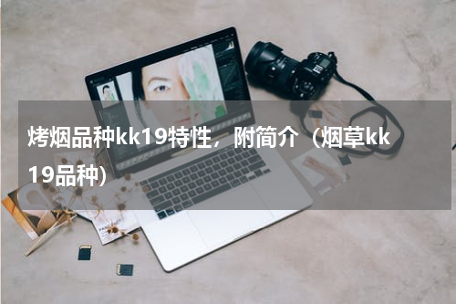 烤烟品种kk19特性，附简介（烟草kk19品种）