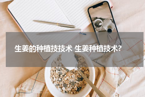 生姜的种植技技术 生姜种植技术?