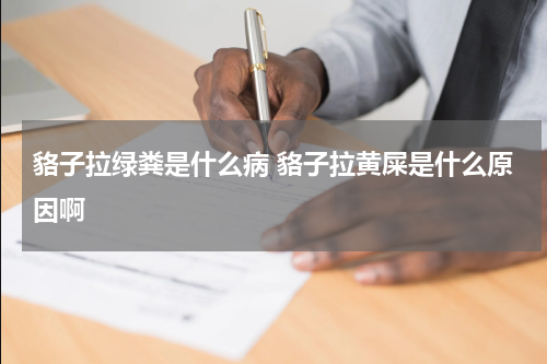 貉子拉绿粪是什么病 貉子拉黄屎是什么原因啊