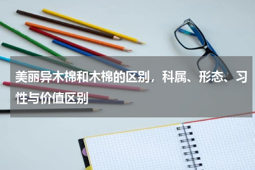 美丽异木棉和木棉的区别，科属、形态、习性与价值区别