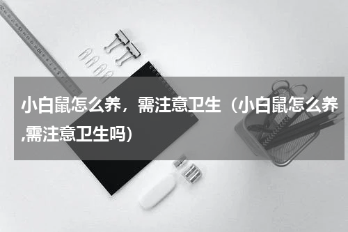 小白鼠怎么养，需注意卫生（小白鼠怎么养,需注意卫生吗）