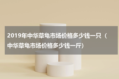 2019年中华草龟市场价格多少钱一只（中华草龟市场价格多少钱一斤）