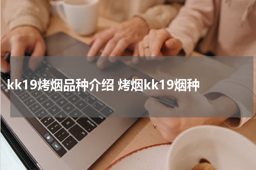 kk19烤烟品种介绍 烤烟kk19烟种