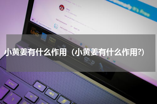 小黄姜有什么作用（小黄姜有什么作用?）