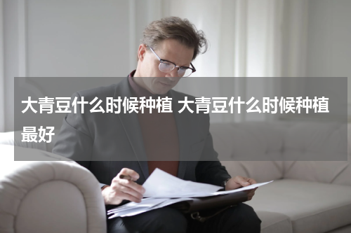 大青豆什么时候种植 大青豆什么时候种植最好