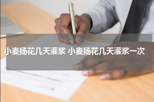 小麦扬花几天灌浆 小麦扬花几天灌浆一次