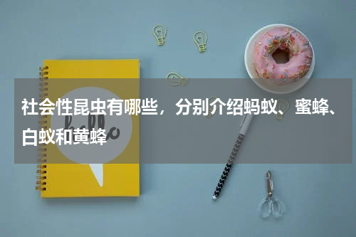 社会性昆虫有哪些，分别介绍蚂蚁、蜜蜂、白蚁和黄蜂