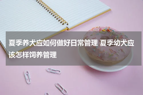 夏季养犬应如何做好日常管理 夏季幼犬应该怎样饲养管理
