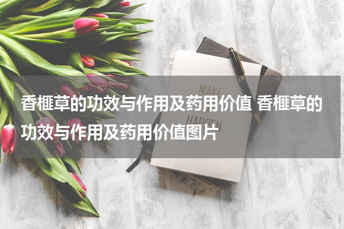 香榧草的功效与作用及药用价值 香榧草的功效与作用及药用价值图片