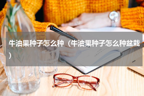 牛油果种子怎么种（牛油果种子怎么种盆栽）