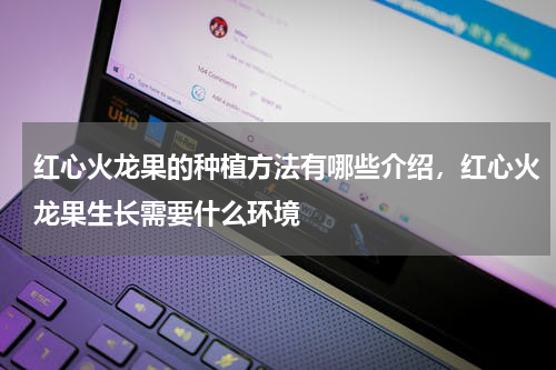 红心火龙果的种植方法有哪些介绍，红心火龙果生长需要什么环境