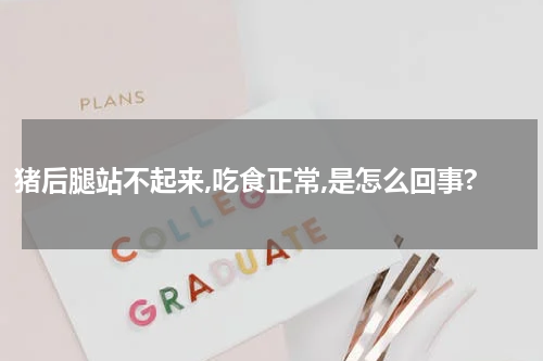 猪后腿站不起来,吃食正常,是怎么回事?