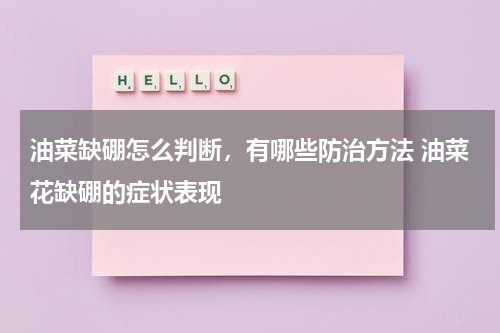 油菜缺硼怎么判断，有哪些防治方法 油菜花缺硼的症状表现