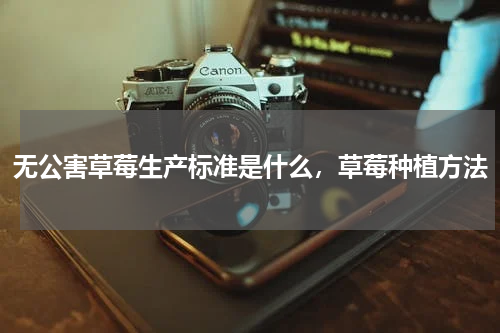 无公害草莓生产标准是什么，草莓种植方法
