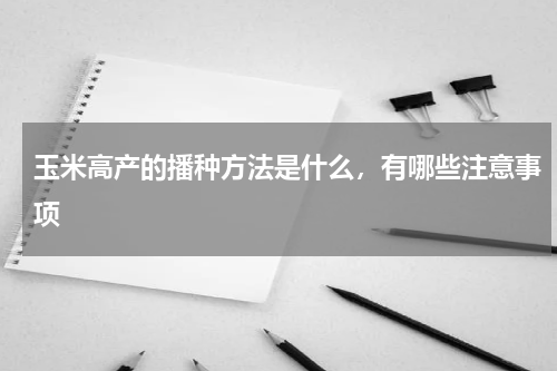 玉米高产的播种方法是什么，有哪些注意事项