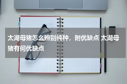 太湖母猪怎么辨别纯种，附优缺点 太湖母猪有何优缺点