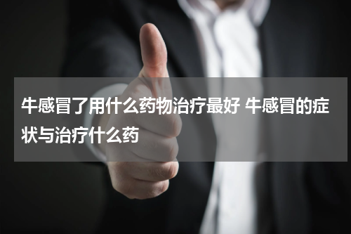 牛感冒了用什么药物治疗最好 牛感冒的症状与治疗什么药