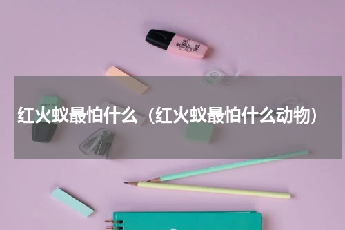 红火蚁最怕什么（红火蚁最怕什么动物）