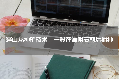 穿山龙种植技术，一般在清明节前后播种