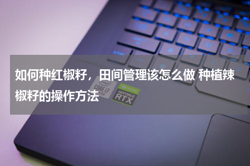 如何种红椒籽，田间管理该怎么做 种植辣椒籽的操作方法