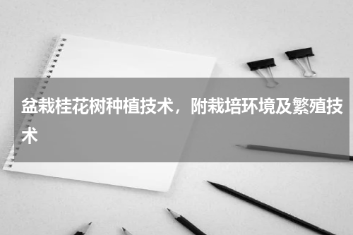 盆栽桂花树种植技术，附栽培环境及繁殖技术