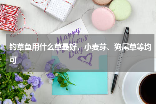 钓草鱼用什么草最好，小麦芽、狗尾草等均可