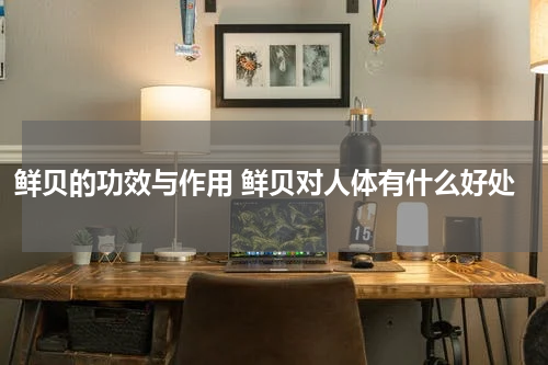 鲜贝的功效与作用 鲜贝对人体有什么好处