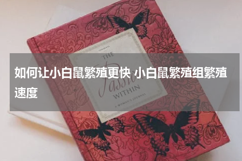 如何让小白鼠繁殖更快 小白鼠繁殖组繁殖速度