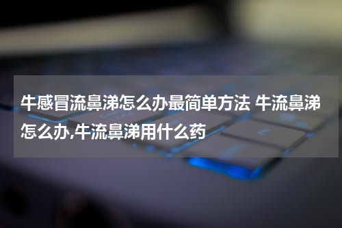牛感冒流鼻涕怎么办最简单方法 牛流鼻涕怎么办,牛流鼻涕用什么药