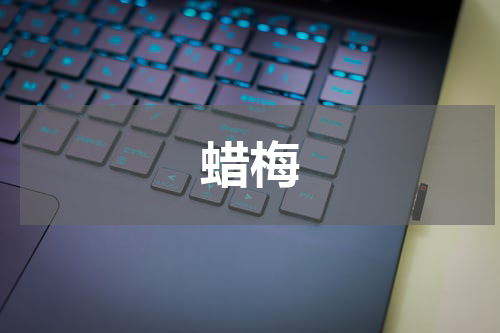 蜡梅