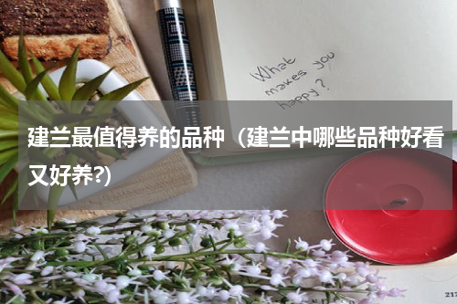 建兰最值得养的品种（建兰中哪些品种好看又好养?）