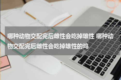 哪种动物交配完后雌性会吃掉雄性 哪种动物交配完后雌性会吃掉雄性的鸡