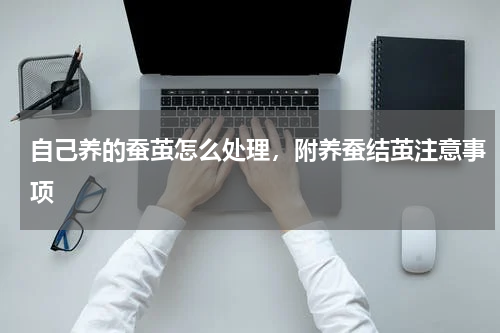 自己养的蚕茧怎么处理，附养蚕结茧注意事项